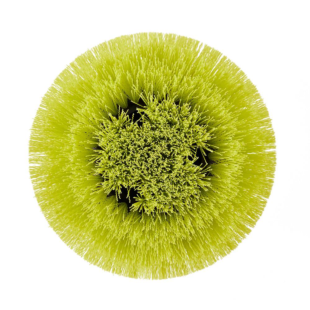 Medium Bristle Round Brush - Image 2